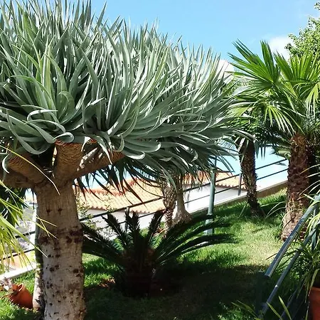 Perola Do Atlantico